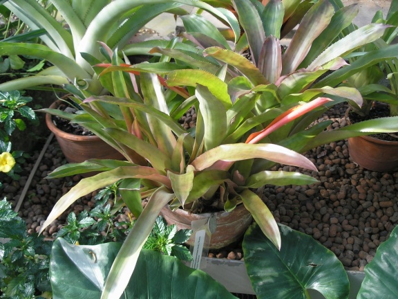P6301862J