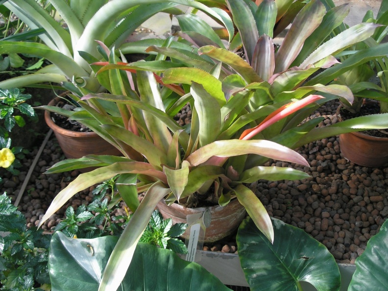 P6301862J