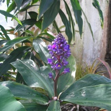 P6301869J