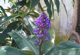 P6301869J
