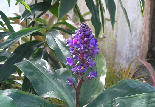 P6301869J