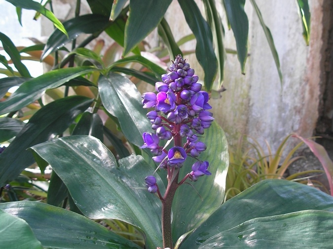 P6301869J