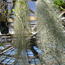 P6301883J
