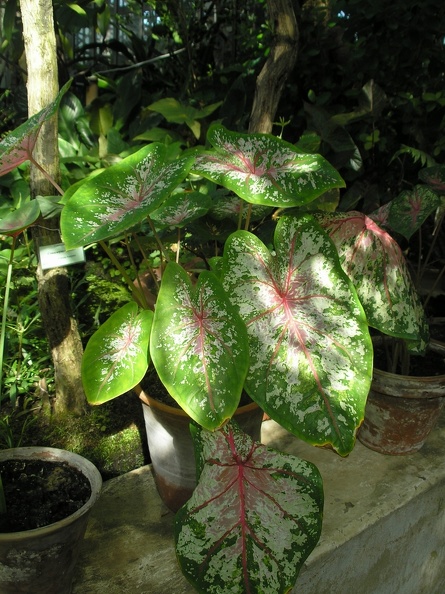 P6301890J.JPG