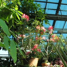 P6301914J
