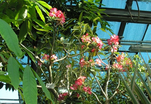 P6301914J