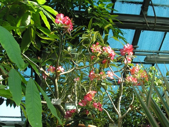 P6301914J