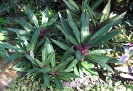 P6301925 J