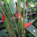 P6301941J