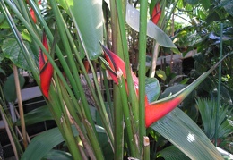 P6301941J