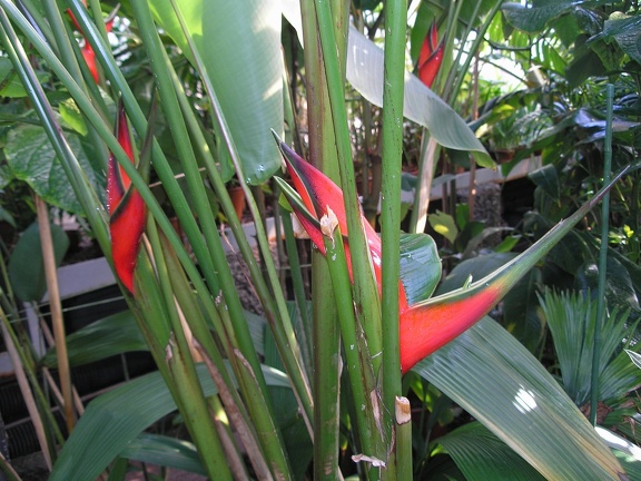 P6301941J