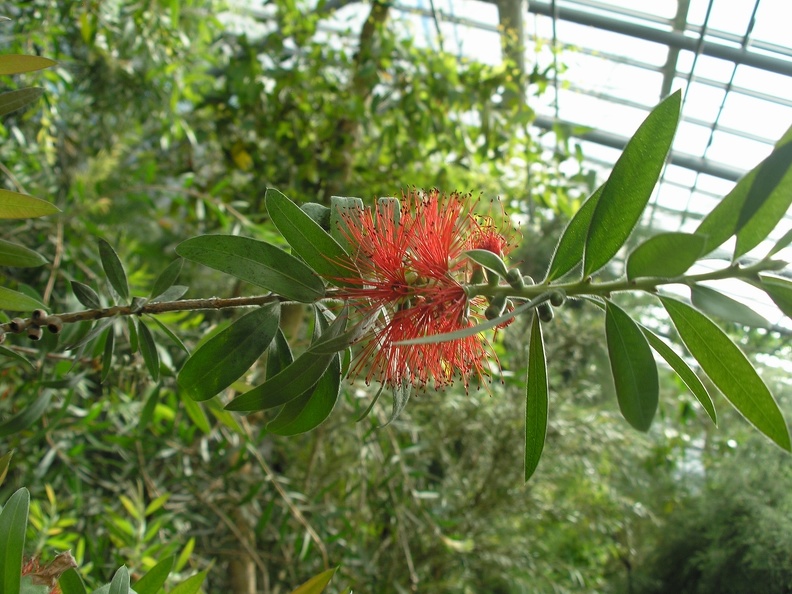 P6301973_J.JPG