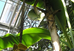 P6302011