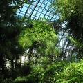 P6302015 J