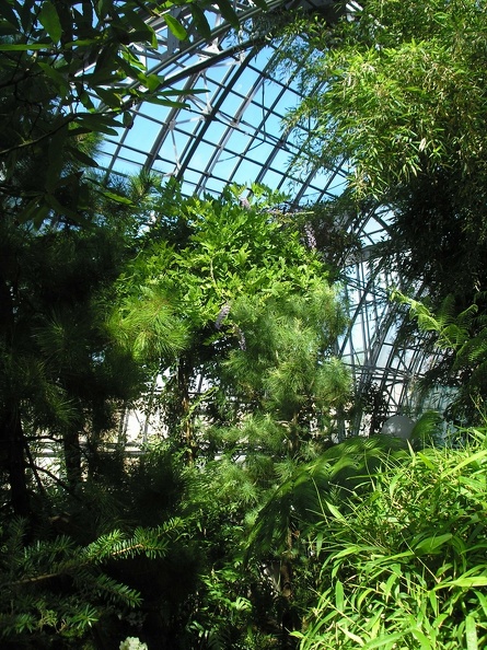 P6302015_J.JPG