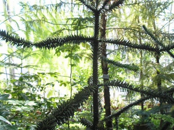 P6302016