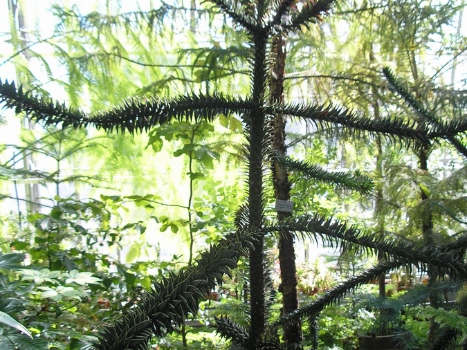P6302016