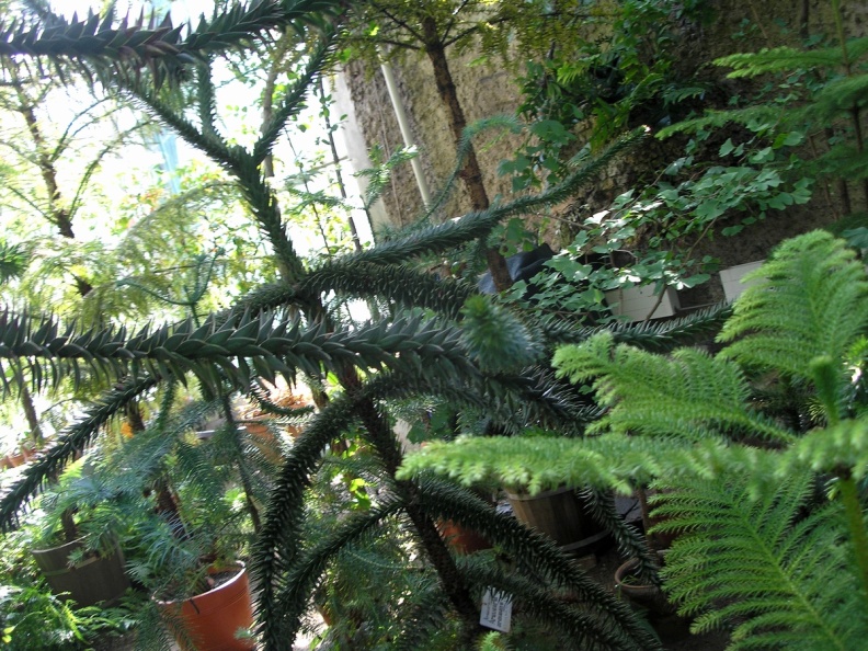 P6302018