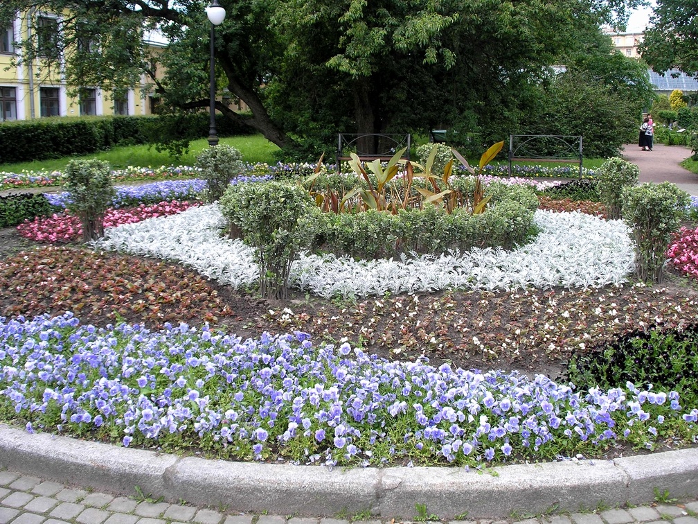 P6302045