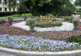 P6302045