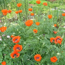 P6302058
