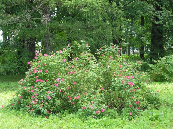 P6302098