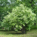 P6302099
