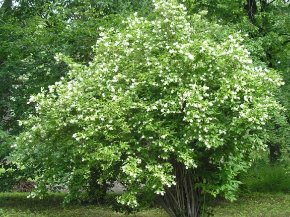 P6302099