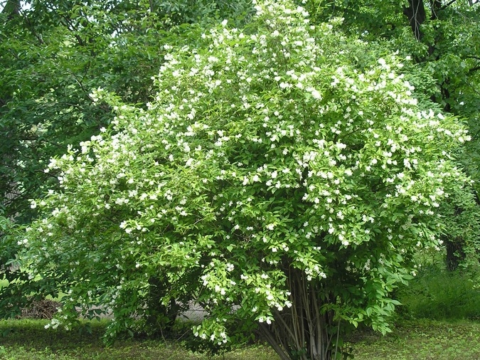 P6302099