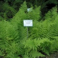 P6302125
