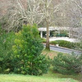 IMG_2825.JPG