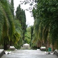 IMG_2968.JPG