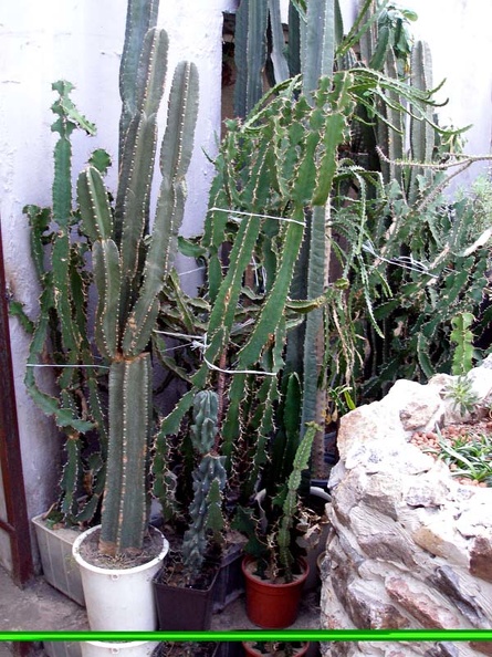P3070024.jpg