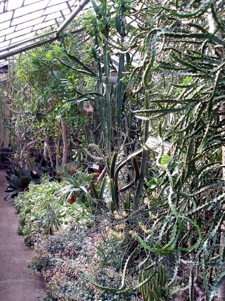 P3070163.jpg