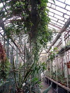 Ботанический сад им. акад. А.В.Фомина Киевского Национального Университета