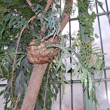 20130605 001