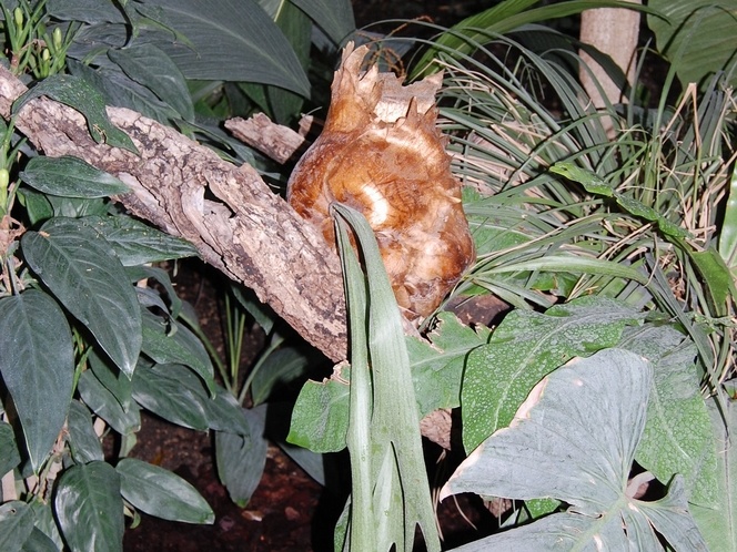 DSC 9156