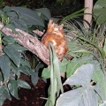 DSC 9156