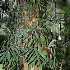 DSC 9162