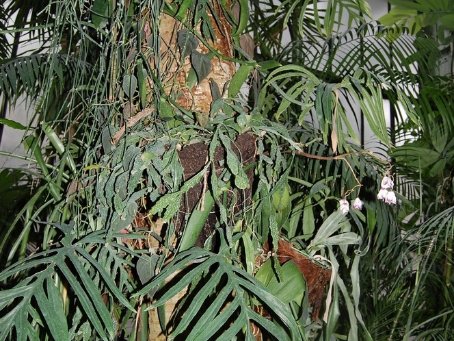 DSC 9162