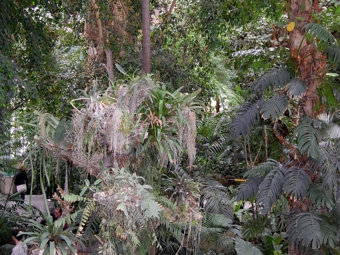DSC 9178