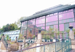 DSC 9461