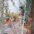 Fouquieria diguetii
