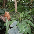 IMG 7576