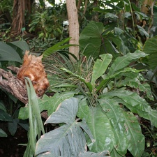 IMG 7576
