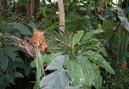 IMG 7576
