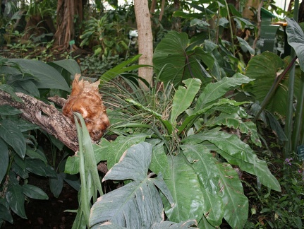 IMG 7576