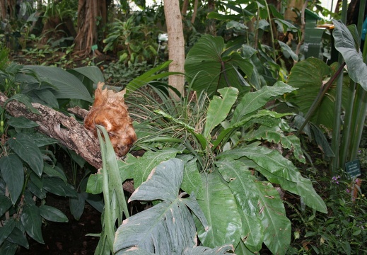 IMG 7576