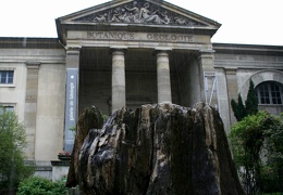 IMG 7889