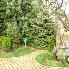 &quot;Старый парк&quot; в Кабардинке (Краснодарский край, РФ)